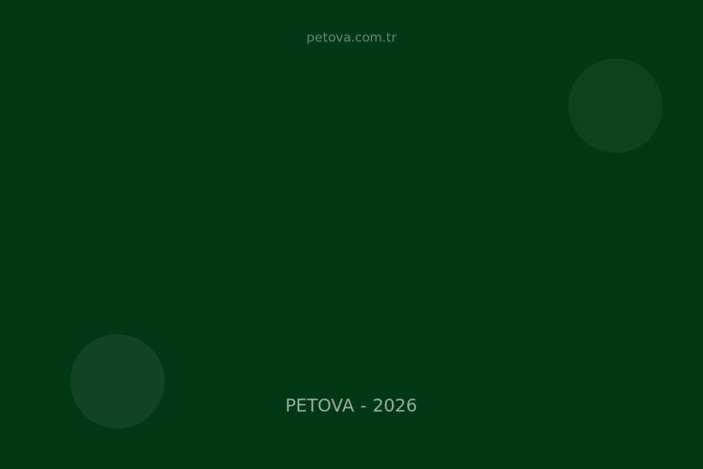 Köpek Kusma Nedenleri: 12 Sebep, Acil İşaretleri, Evde Müdahale