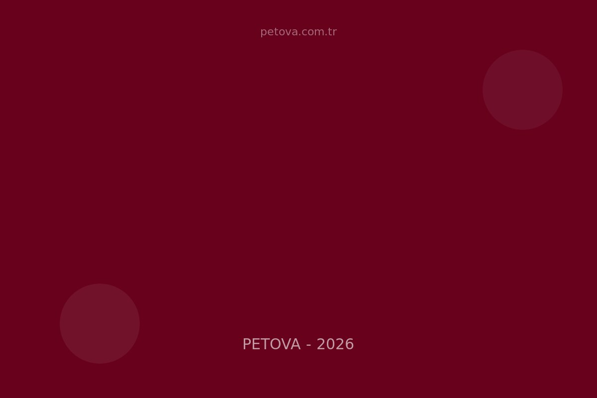 Veteriner Ücretleri 2026:&hellip;