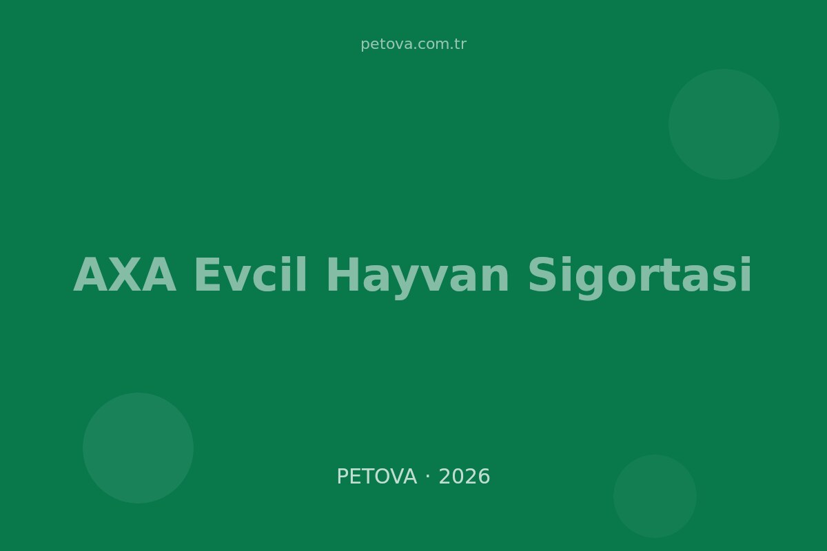 AXA Evcil Hayvan&hellip;