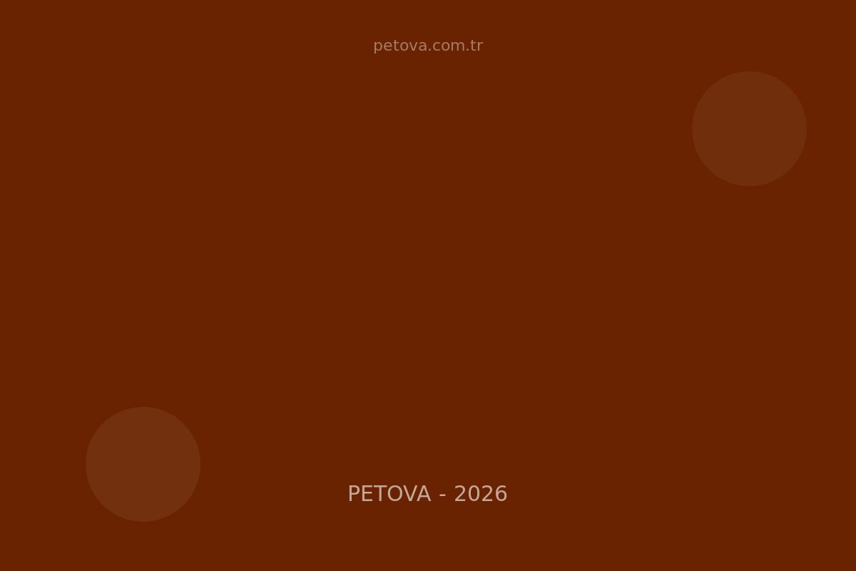 Kediler Neden Tüy&hellip;