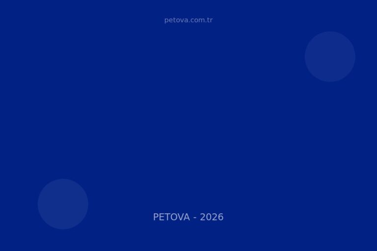 Köpek Tuvalet Eğitimi: Yavru ve Yetişkin İçin Tam Program