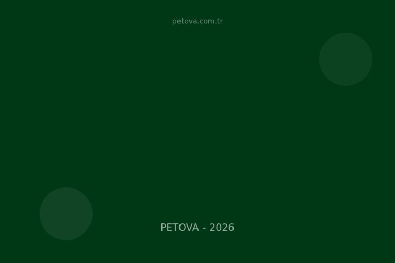 Kedi Aşı Takvimi 2026: FVRCP, FeLV, Kuduz Protokol ve Maliyet
