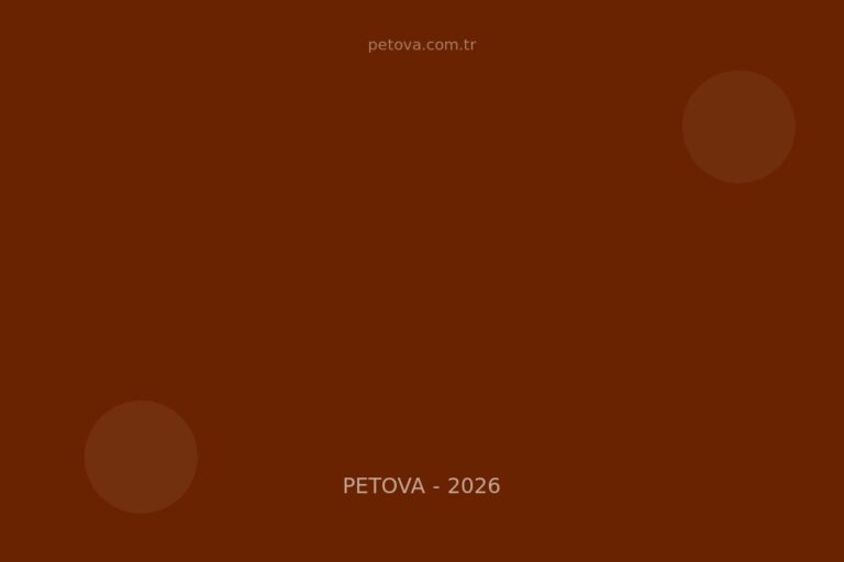 Köpek Eğitimi Temelleri: İlk 30 Günde 6 Komut Öğretme