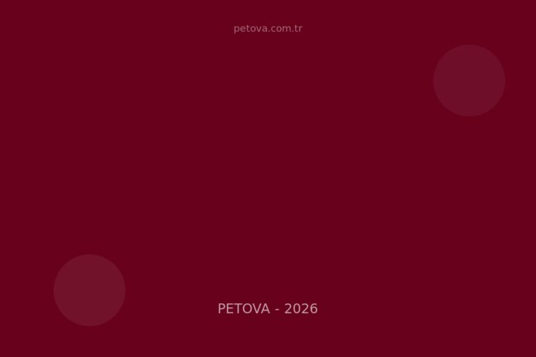 5199 Sayılı Hayvanları Koruma Kanunu 2026: Yeni Cezalar, Haklar, Yükümlülükler