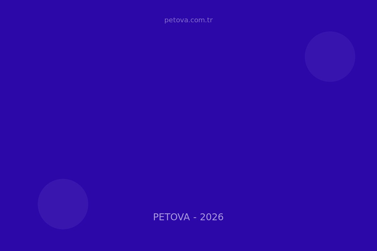 Kedi Hamilelik Belirtileri&hellip;