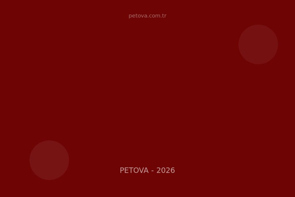 Pet Pasaport Nasıl Çıkarılır 2026: Gereksinim, Süreç, Maliyet