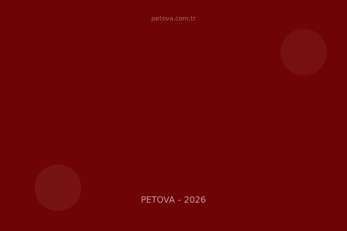 Pet Pasaport Nasıl&hellip;